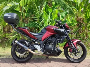 Yamaha MT-25 Red